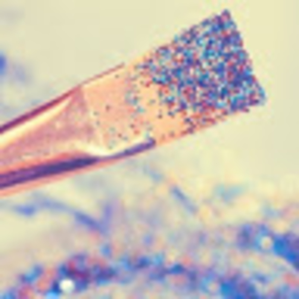 Meet your Posher, Rylan